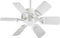 Ceiling Fans with Remotes