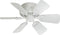 Ceiling Fans with Remotes