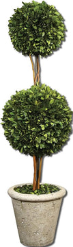 36"H Two Sphere Topiary Botanical Natural Evergreen